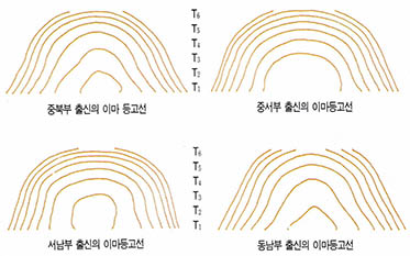 (그림 2)한국인의 지역별 이마등고선의 모양^중북부 동남부 지역은 삼각형이, 중서부 서남부 출신은 아치형이 많다.