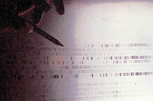 범죄 수사에도 유전공학이 응용되고 있다.