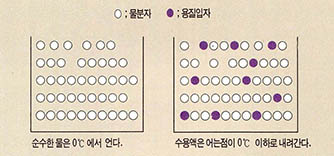 물속에서 용해된 용질에 의해 물의 어는 점이 내려가는 현상