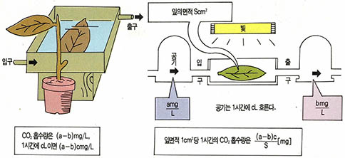 (그림5) 광합성속도 측정방법