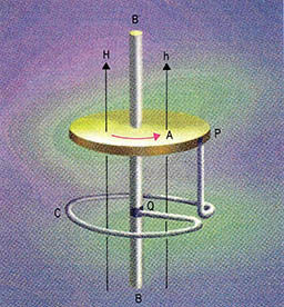 (그림 5) 다이너모 이론 모형^ 전도체인 원판 A가 BB'를 축으로 회전하면 BB'방향의 자계 H가 생긴다. A 안에는 반경방향으로 전류가 생기고 P C Q 를 경유해 다시 A로 돌아온다. 원형 코일을 흐르는 전류에 의해 생기는 자계 h는 원판 A에 의해 생기는 자계 H와 동일 방향이다. 따라서 H를 제거해도 h의 자계만으로는 자기력을 계속 유지하게 된다. 지구에서 H는 미소한 우주 자장 또는 지구 내부에 자연 발생하는 열전류에 따른 것으로 생각되고 있다.