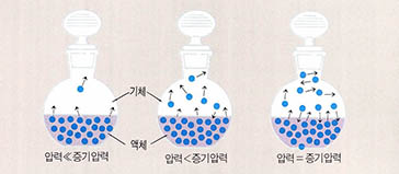 (그림1) 증기와 액체 사이의 평형을 나타낸 그림^온도가 올라갈수록 플라스크 내의 증기압력이 커진다.