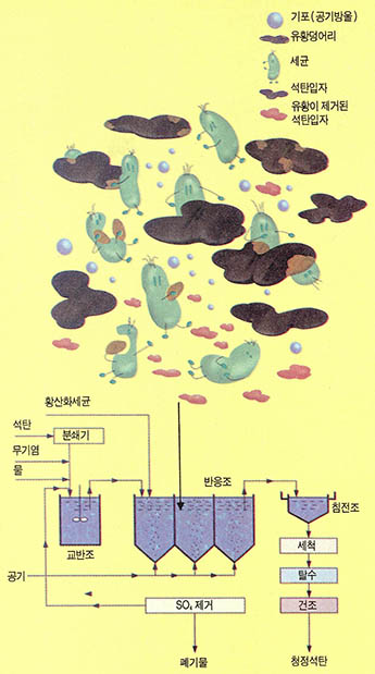 (그림1) 미생물을 이용한 석탄의 탈황공정