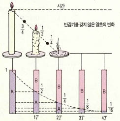 (그림1) 반감기(T)와 방사성 원소의 양