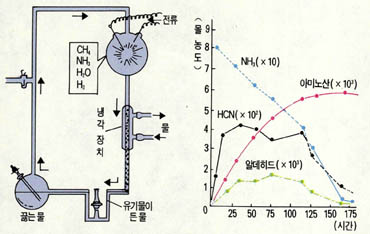 (그림3) 밀러의 실험장치(왼쪽)와 물질의 농도 변화(오른쪽)