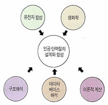 (그림1) 인공 단백질의 설계와 합성