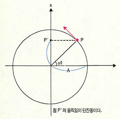 (그림1)원운동과 단진동