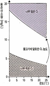 (그림3) 물고기의 생존과 용존 산소량과의 관계