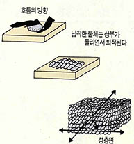 (그림3) 비늘중첩구조의 발달과정