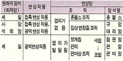 (표4) 변성암의 종류