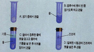 환원제에 의한 철의 환원