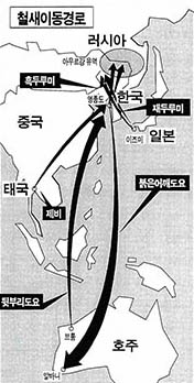 철새이동경로