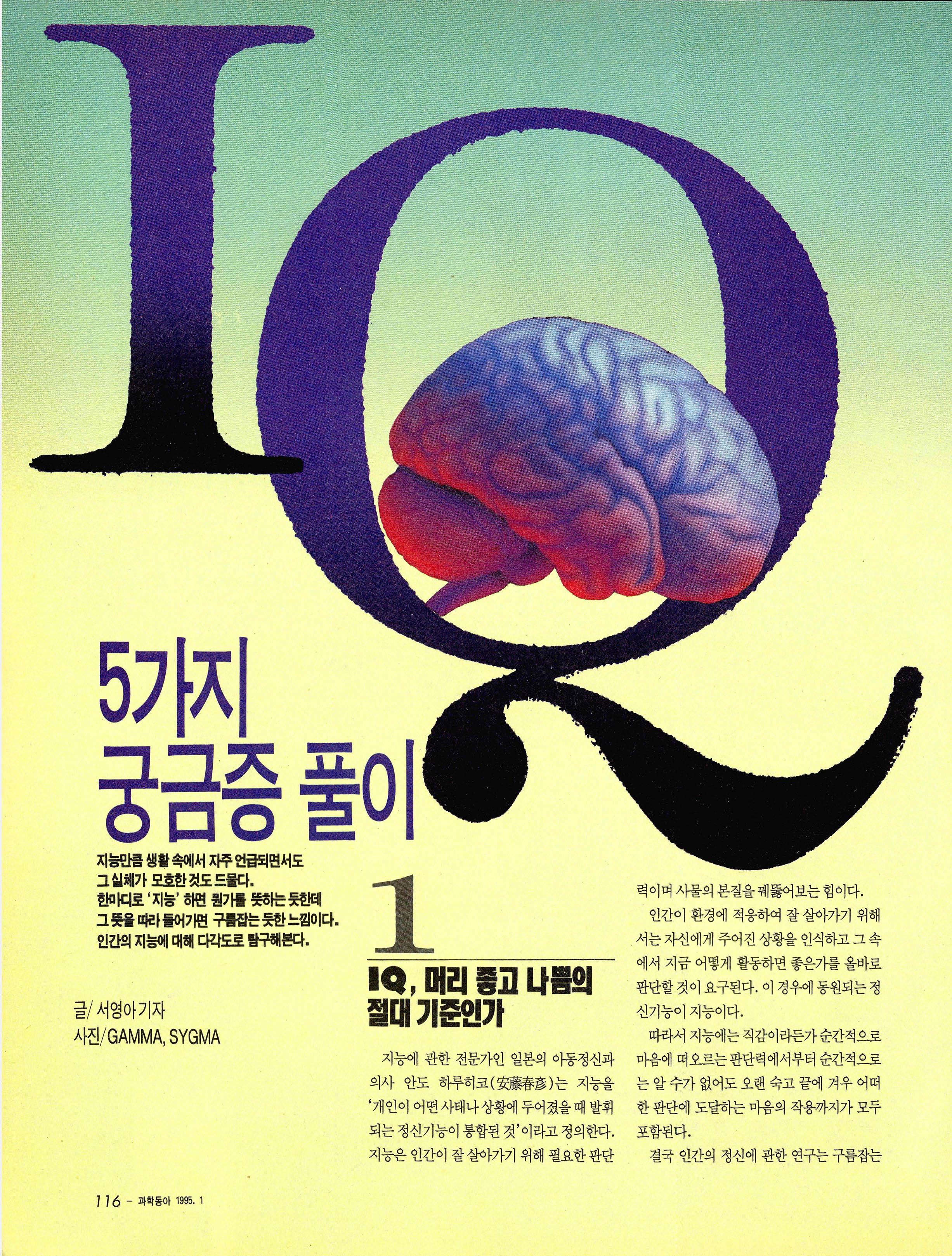 IQ 5가지 궁금증 풀이