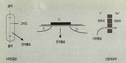 (그림3) 전계 효과 트랜지스터