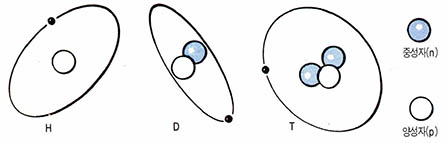 (그림1) 수소들의 동위원소, 수소(H)중수소(D) 삼중수소(T)