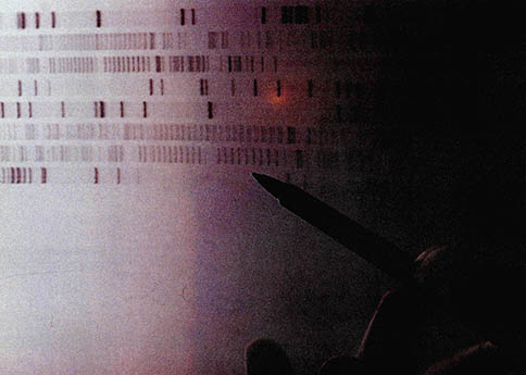 필름에 기록돼 나온 DNA 염기배열. 해독에는 컴퓨터가 필수적이다.