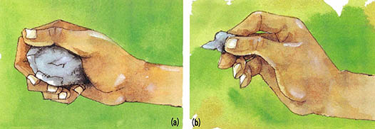 파워그립(a)과 정밀그립 (b)