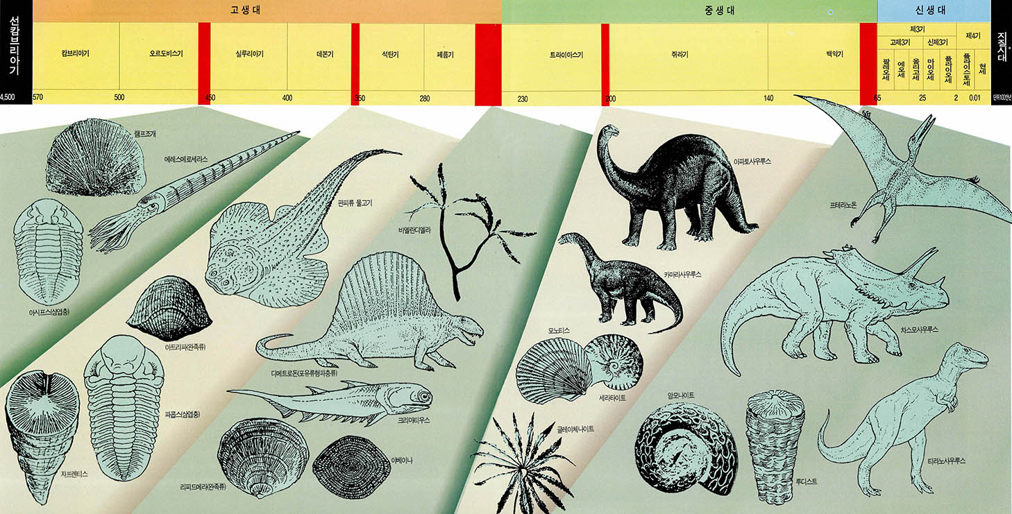 (그림1)지질시대에 따른 주요 멸종생물들
