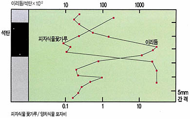 (그림1)미국 몬태나주에 분포된 K/T경계면 점토층에서 기록된 이리듐의 양과 식물화석 꽃가루와 포자비의 변화(피자식물 꽃가루화석의 감소는 양치식물 포자화석의 증가를 나타낸다ㅏ)