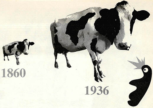1936년의 낙농업 생산량이 1860년보다 세배로 늘었다는 사실을 표현하기 위해 이렇게 그렸다면 맞는 것일까? 독자들은 젖소의 키가 세배라고 증가량도 세배로 보이는가?