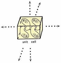 (그림2)단백질 결정의 도식적인 표현^육면체가 단위세포(unit cell)이다.결정 내에서 단백질 분자들이 상호 인력에 의해 결합하여 일정하게 반복되는 양상을 갖는다.단위세포들이 x,y,z방향으로 연결된 것을 나타낸다.