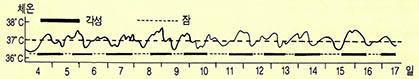 (그림2)인간의 수면-활동과 체온의 개일리듬
