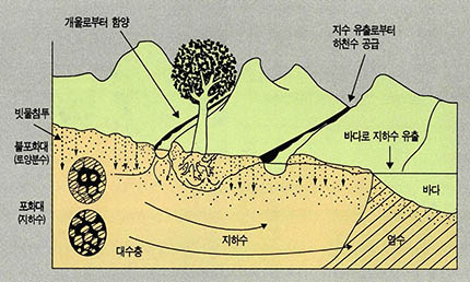 지하수의 형성과정 및 이동경로