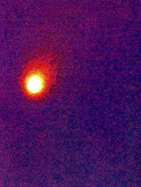C/1995 Q2 혜성