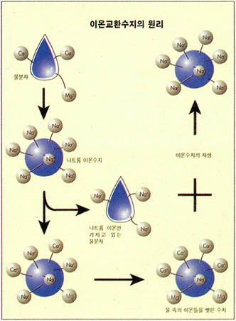 이온교환수지의 원리