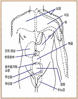 (그림3) 체내 장기와 관련통 부위