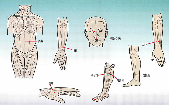 (그림) 경혈의 위치