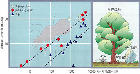 (그림5) 식물별 곤충출현 비교