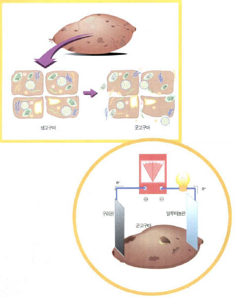 전자의 흐름