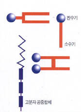 (그림2)여러가지 모양의 계면활성제