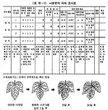 (자료3)산성비로 인한 나팔꽃의 피해 조사표(한샘출판교과서)