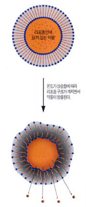 (그림3)온도에 따라 작용하는 약