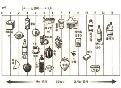 (자료1)도표로 정리한 주변물질들의 pH값