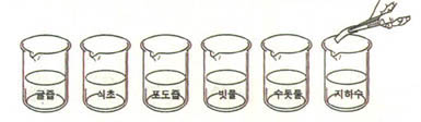 (자료2)여러가지 물질의 pH를 측정하는 실험(동아출판사 교과서)