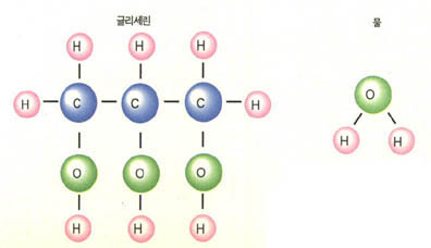 (그림1)글리세린과 물의 분자구조식