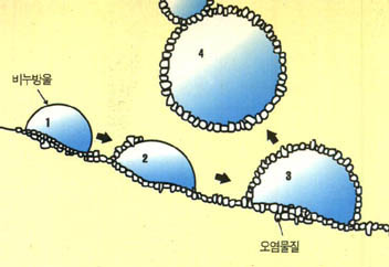 (그림20더러움을 제거하는 과정^비누방울이 오염물질에 달라붙은 뒤(1) 오염물질기리의 흡착력을 약화시킨 다음(2,3) 오염물질과 함께 물속으로 떨어져 나간다.