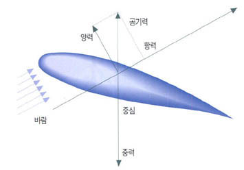 (그림2)베르누이 정리