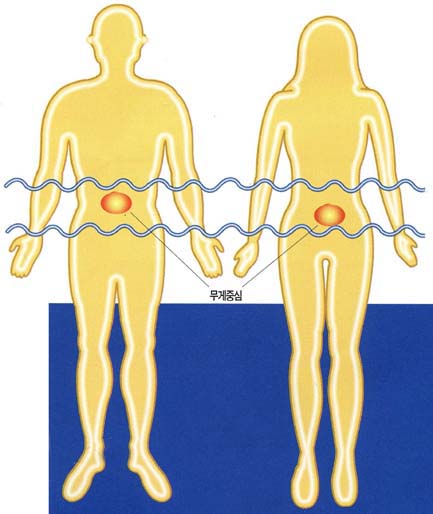 여자와 남자의 무게중심 위치가 다르다. 신체구조상 엉덩이가 넓은 여성은 가슴이 넓은 남성에 비해 몸의 아래쪽에 무게가 더 나가기 때문이다.