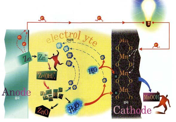 아연-망간전지의 원리