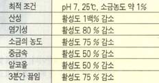 (표3) 실험조건과 효소의 활성도