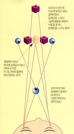 (그림 1) 죄우현상 분리에 의해 입체감을 느끼는 원리