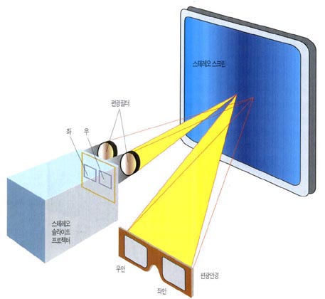편광 안경 방식 TV