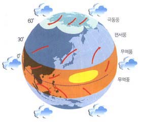 (그림2) 지구 위도별 바람의 명칭-태풍은 북반구와 남반구의 무역풍이 만나는 지역(노란색)에서 발생한다.