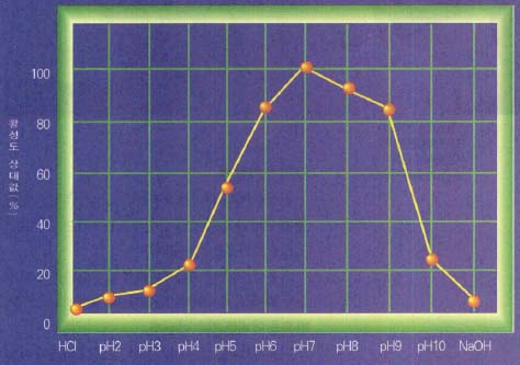 (그림2) pH가 효소에 미치는 영향