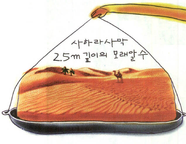 사하라 사막 2.5m 깊이의 모래알 수 