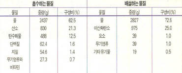 (표3)^사람이 하루동안에 섭취하는 물질과 배설하는 물질의 구성비